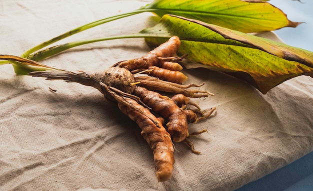 Photo gros plan du curcuma frais et sain en tranches