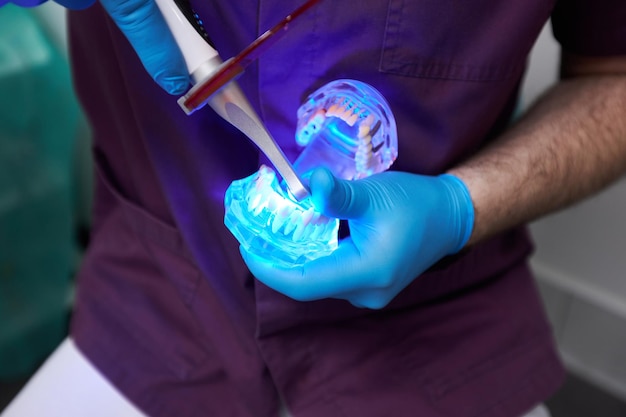 Gros plan du dentiste à l'aide d'une dent de remplissage de lampe ultraviolette sur un modèle en plastique de la mâchoire humaine