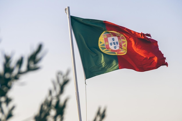 Gros plan du drapeau du Portugal sur fond bleu