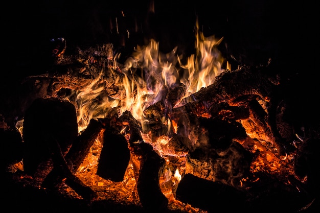 Gros plan du feu de joie.