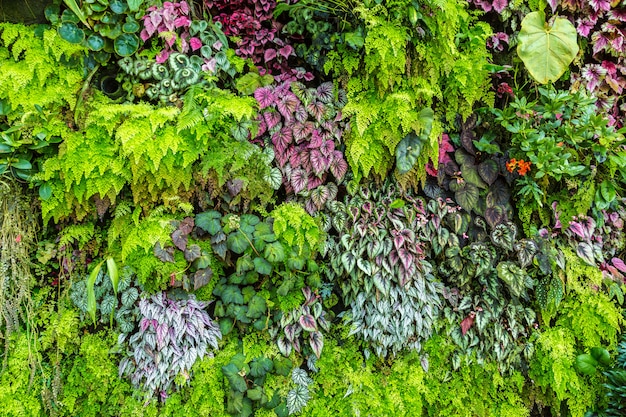 Gros plan du jardin avec des fleurs et des feuilles vertes tropicales