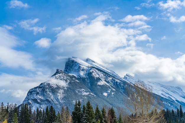 Gros plan du mont Rundle enneigé avec forêt enneigée Parc national Banff beau paysage en hiver