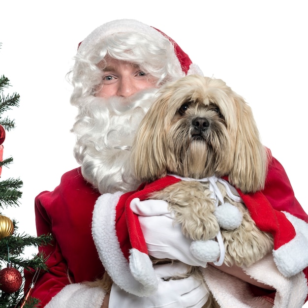 Gros plan du père Noël tenant un chien de poche isolé sur blanc