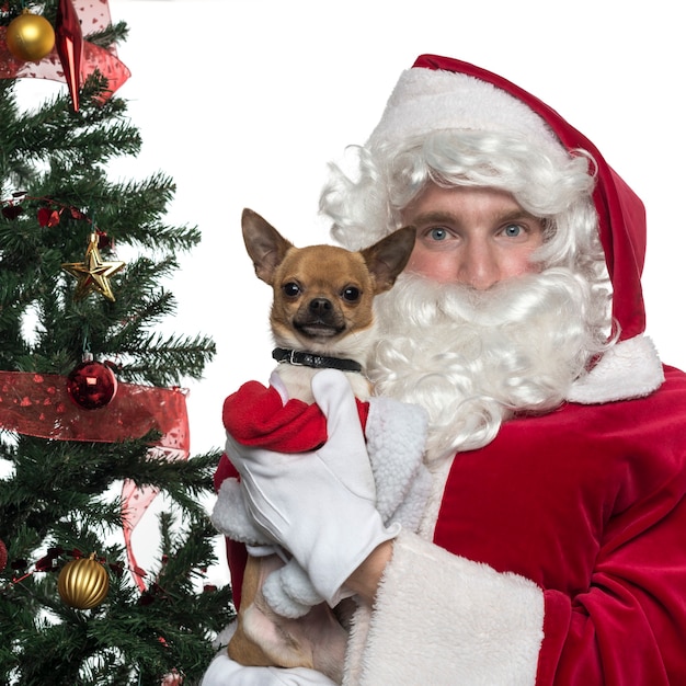 Gros plan du père Noël tenant un chien de poche isolé sur blanc