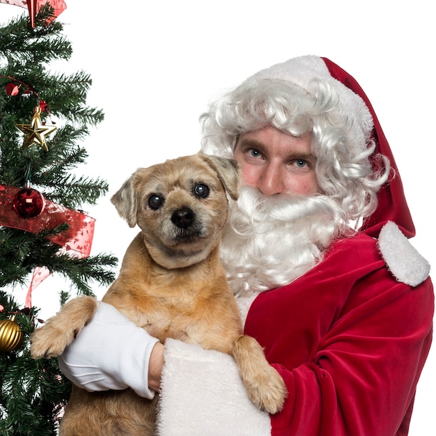 Gros plan du père Noël tenant un chien de poche isolé sur blanc