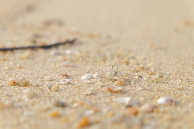 Un gros plan du sable sur la plage