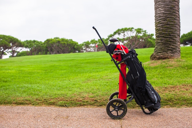 Gros Plan Du Sac De Golf Sur Un Terrain Parfait Vert