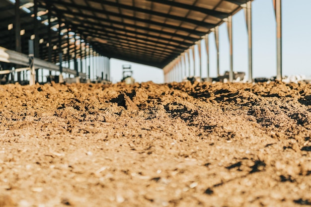 Gros plan du terrain d'une ferme d'élevage à l'aube. Contexte