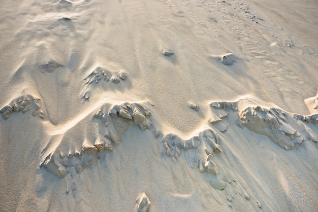 Photo gros plan sur la dune du pyla, la plus haute dune d'europe