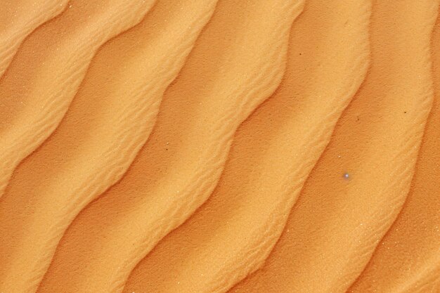 un gros plan de la dune de sable