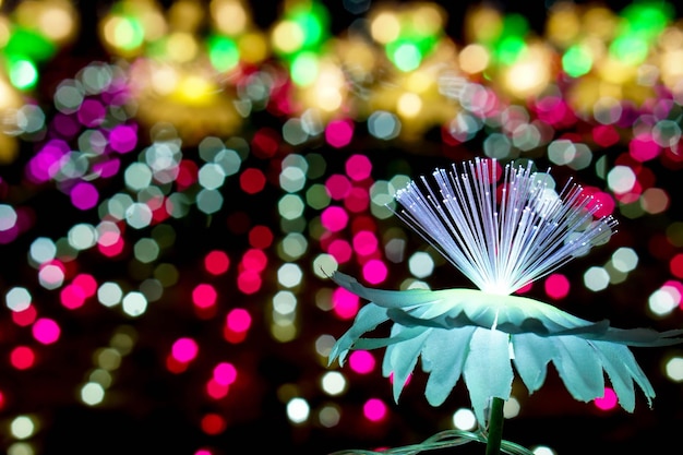 Gros plan éclairant des fleurs avec une lumière rougeoyante sur un flou coloré et un bokeh sur fond de nuit