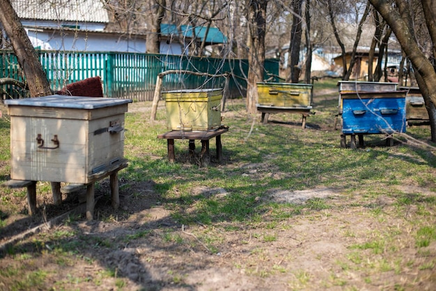 Gros plan de l'entrée supérieure alternative de la ruche Abeilles revenant du vol