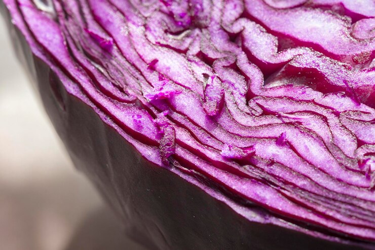 Photo un gros plan extrême d'une fleur rose