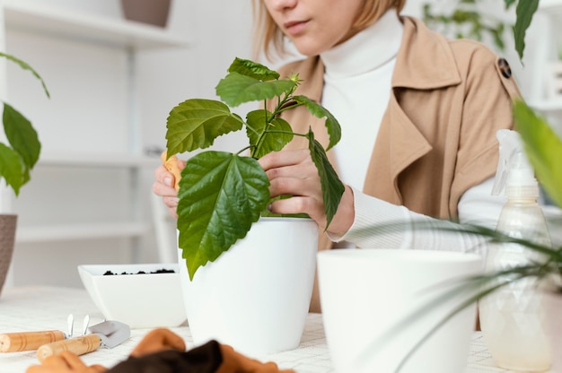 Gros plan, femme, jardinage