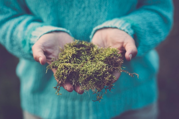 Gros plan d'une femme montrant de l'herbe tenant dans les mains. Section médiane de la femme en pull bleu avec de l'herbe verte fraîche sur la paume de ses mains