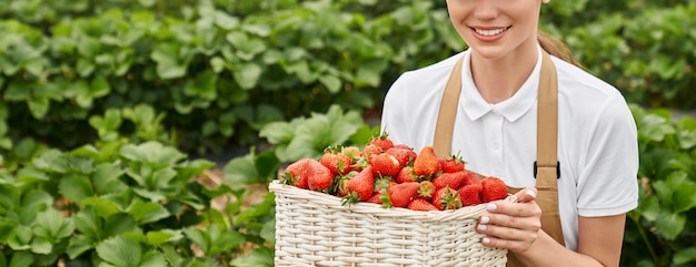 Gros plan d'une femme en tablier tenant un panier avec des fraises