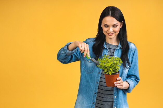 Gros plan d'une femme tenant une plante verte dans la paume de sa main Femme tenant une jeune pousse fraîche Femme isolée sur fond de couleur jaune