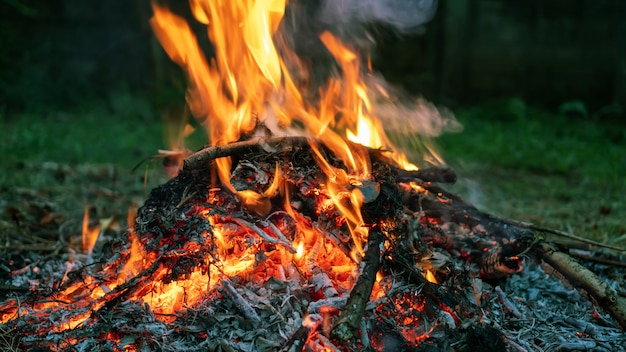 Gros plan d'un feu de joie chaud dans les bois