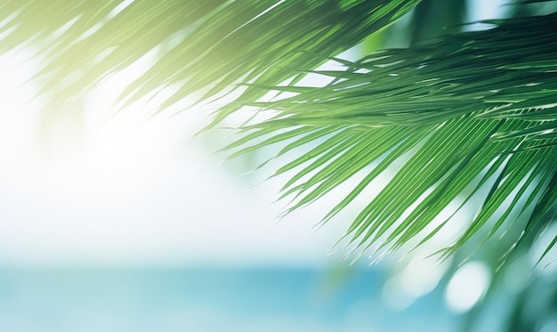 Gros plan d'une feuille de palmier avec une plage tropicale floue, une plage ensoleillée en arrière-plan flou, une scène tropicale créée avec des outils d'IA génératifs