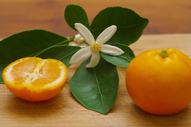 Gros plan des feuilles de fruits orange Calamondine et fleur