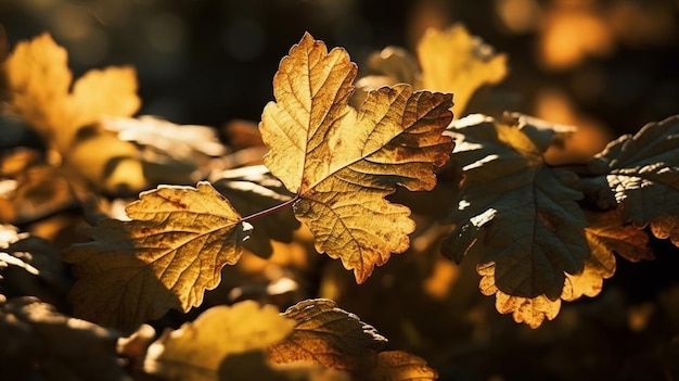 Un gros plan de feuilles avec le soleil qui brille dessus.