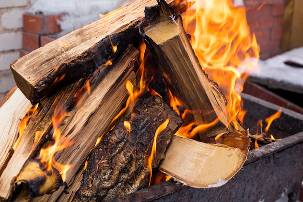 Gros plan d'une flamme lors d'un pique-nique