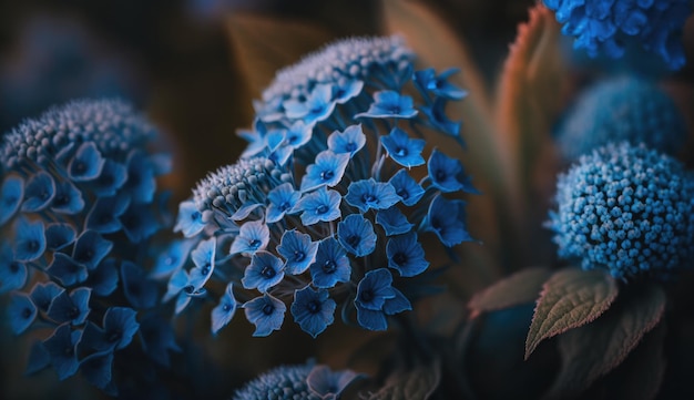 Un gros plan d'une fleur bleue avec le mot hortensia dessus