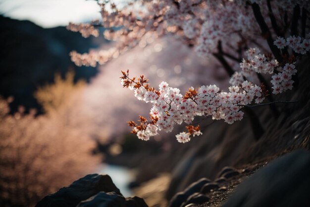 Un gros plan d'une fleur avec le mot printemps dessus