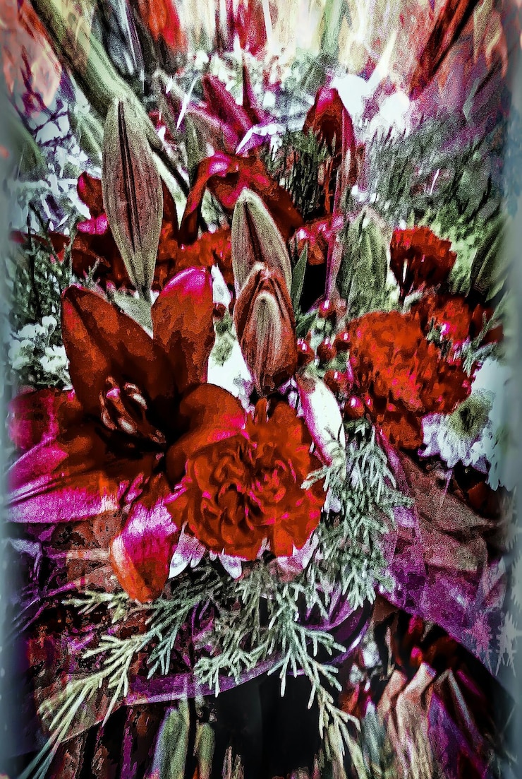 Photo gros plan, de, fleur rouge