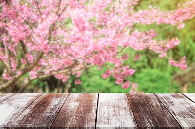 Un gros plan des fleurs de cerisiers roses au printemps