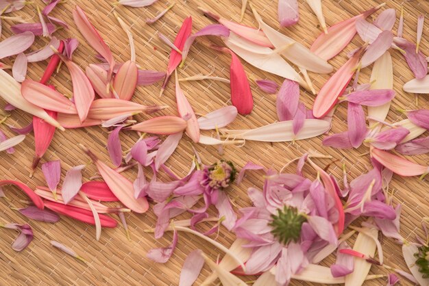 gros plan de fleurs colorées dans le salon de spa