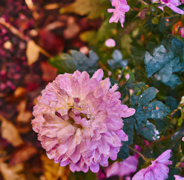 Gros plan de fleurs sur des feuilles créées à l'aide de la technologie générative ai