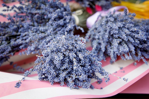 Gros plan de fleurs de lavande