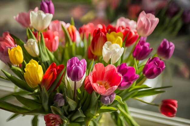 Un gros plan de fleurs multicolores