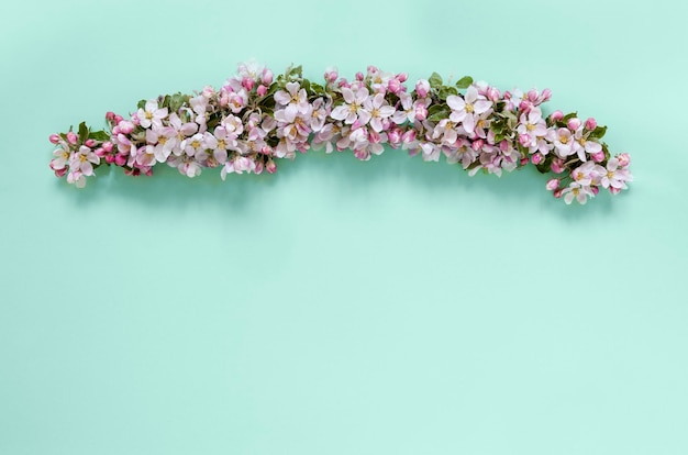 Gros plan de fleurs de pommier parfumées fraîches sur fond vert menthe Modèle de cadre naturel vignette Vue de dessus en gros plan