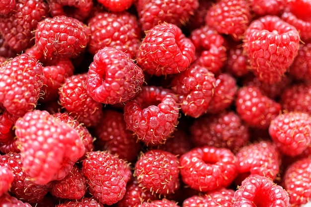 Gros plan de fond de framboises fraîches