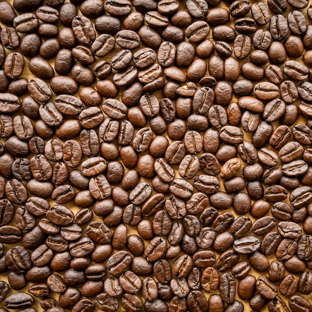 Gros plan sur fond de grains de café torréfiés