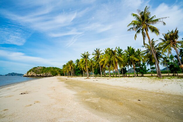 Gros plan sur fond de plage