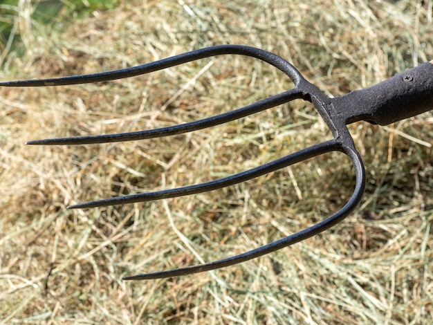 Photo gros plan sur une fourche à foin. un outil pour l'agriculture.