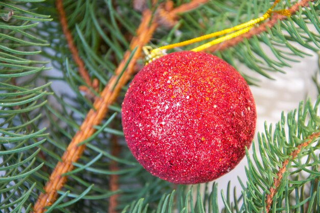 Photo un gros plan des fraises sur l'arbre