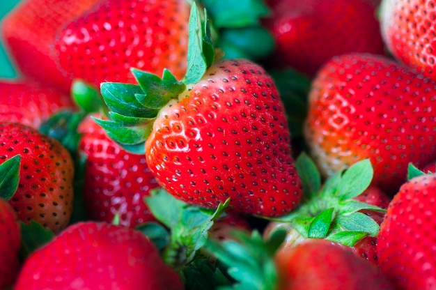 Gros plan de fraises fraîches juteuses