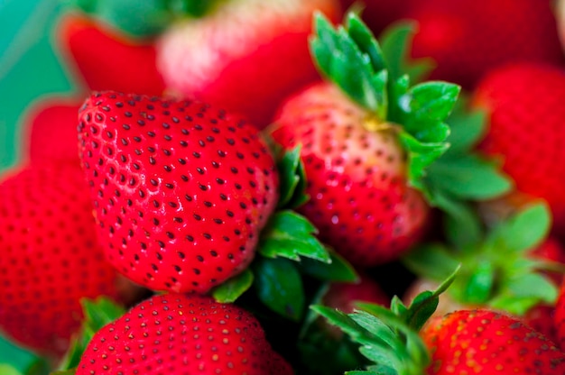 Gros plan de fraises fraîches juteuses