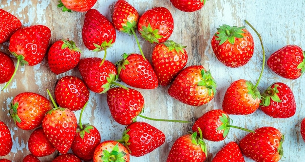 Gros plan de fraises rouges fraîches sur un vieux fond bleu en bois, vue de dessus