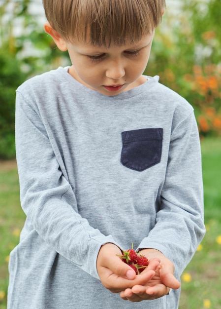 Gros plan sur une framboise dans les mains d'un enfant dans la vie agraire de l'arrière-cour