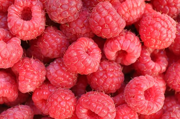 Gros plan de framboises. Baie rouge. Framboises alimentaires saines.