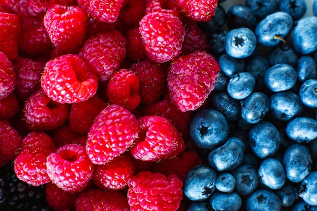 Un gros plan de framboises et de bleuets noirs fendit le cadre. Vitamines d'été