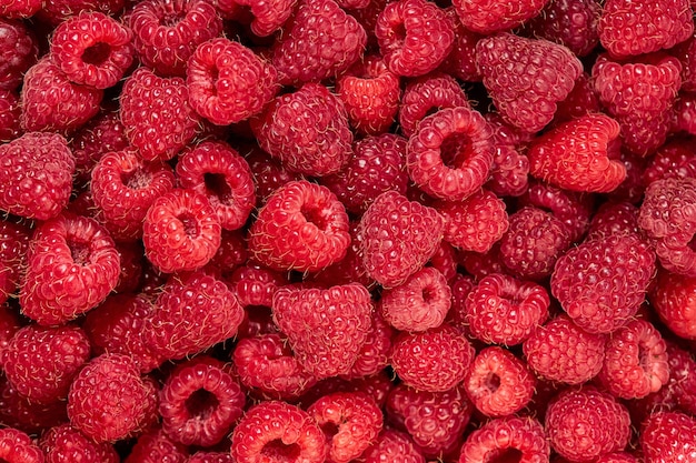 Photo gros plan de framboises juteuses arrière-plan de framboisestexture de macro photo framboise aliments biologiques sains récolte de framboises