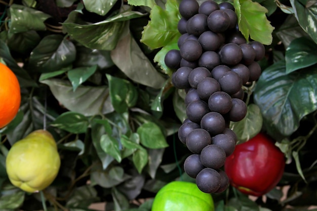 Gros plan de fruits décoratifs entre les feuilles