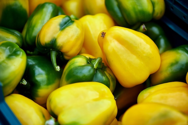 Gros plan de fruits du poivron jaune-vert