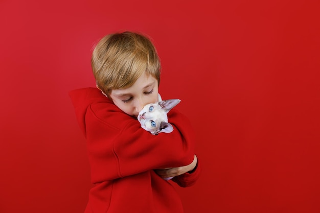 Gros plan d'un garçon en costume rouge qui tient un petit chaton dans ses bras et le serre dans ses bras et l'embrasse